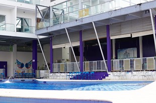 Hotel Gustafha - Villeta, Cundinamarca - image - 14